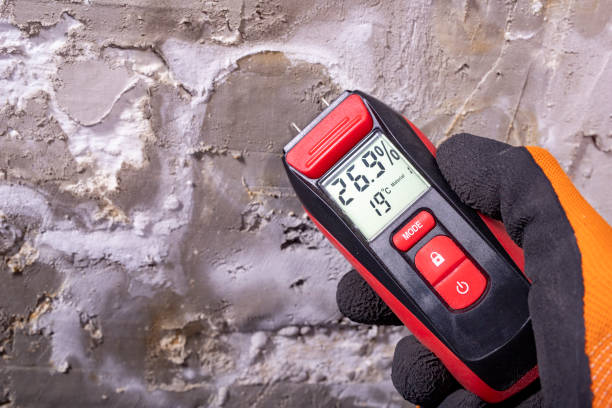 Best Black Mold Removal  in Montrose, PA