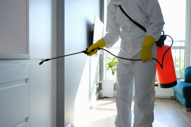 Water Damage Restoration in Montrose, PA